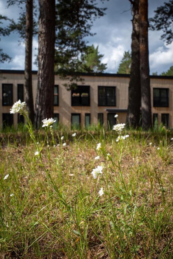 Appartamento 11 Pine View Ķesterciems Esterno foto